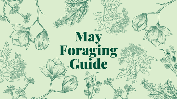 May Foraging Guide