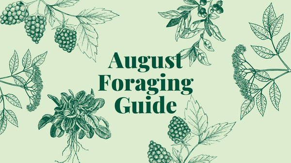 August Foraging Guide