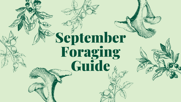 September Foraging Guide